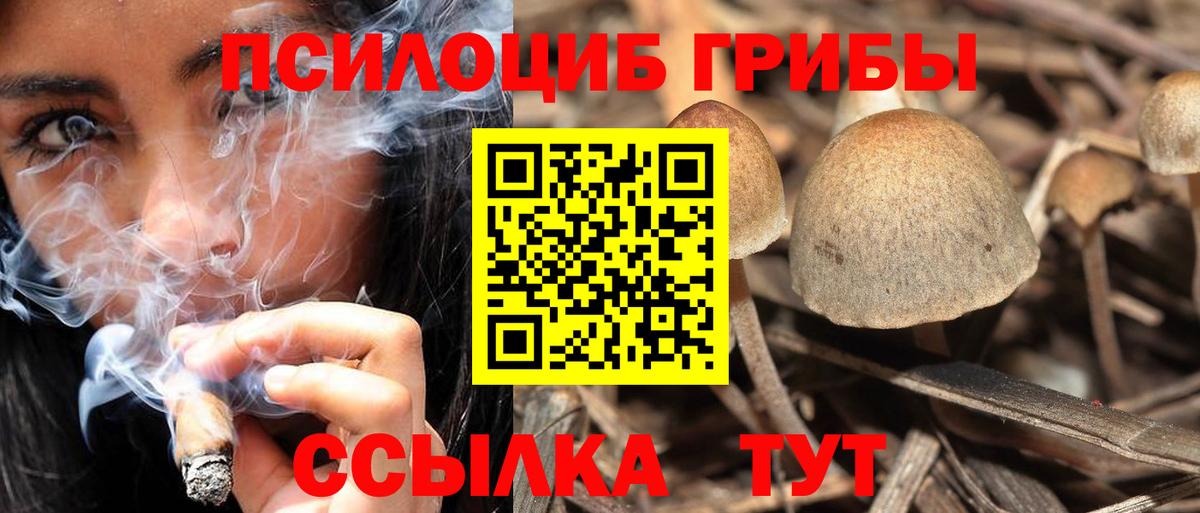 Орёл  Галлюциногенные грибы Psilocybe  Вход с VPN 