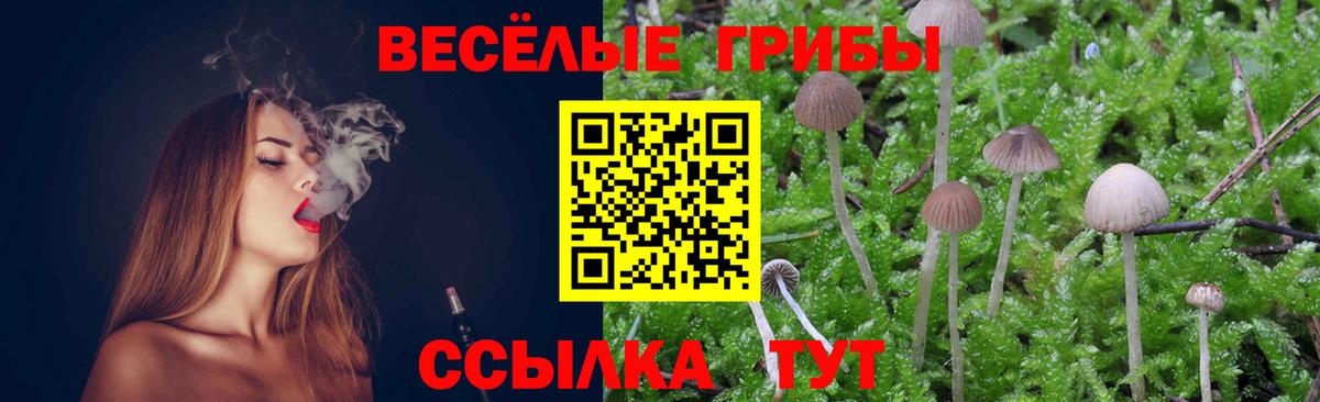 Галлюциногенные грибы Psilocybine cubensis Орёл